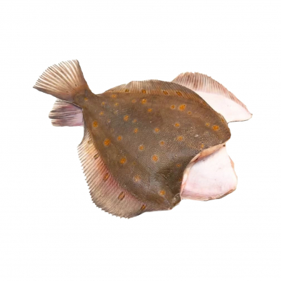 Камбала пятнистая без головы свежемороженая 1кг